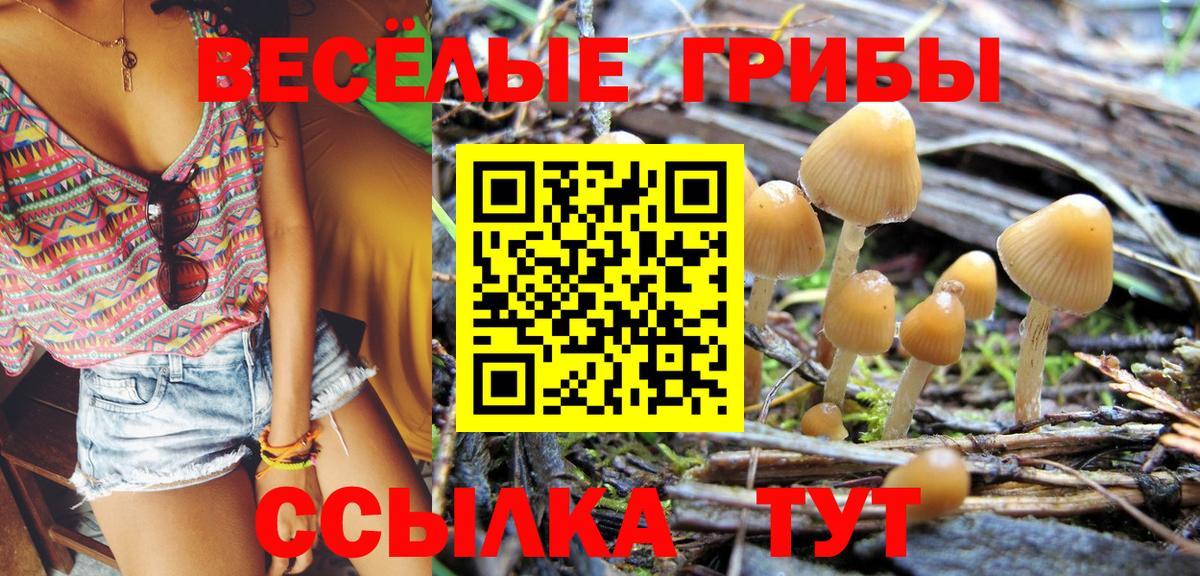 Уварово  Псилоцибиновые грибы Psilocybine cubensis  Вход с VPN  Галлюциногенные грибы Psilocybe 